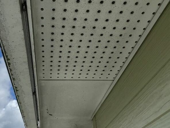 外壁塗装　リプルクリエイト　広島市　佐伯区　五日市　廿日市市　ペイントライン　レジリエンスウレア　耐久年数　30年　40年　無機ハイブリッドチタンガードゼニス　レガロ　破風塗装　軒塗装　付帯部塗装　外壁洗浄　屋根カバー工事　カビ　藻　ヒビ　クラック　シーリング　シーリング打ち替えベランダ塗装　